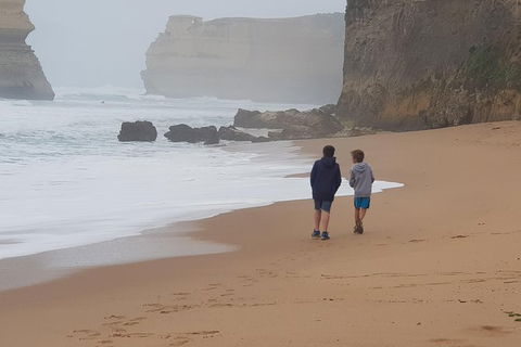2 Day Great Ocean Road Tour From Melbourne - QLD Tourism 23