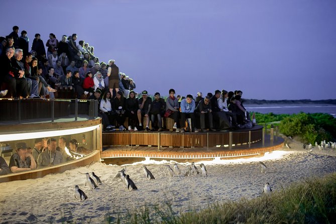 Phillip Island VIC QLD Tourism