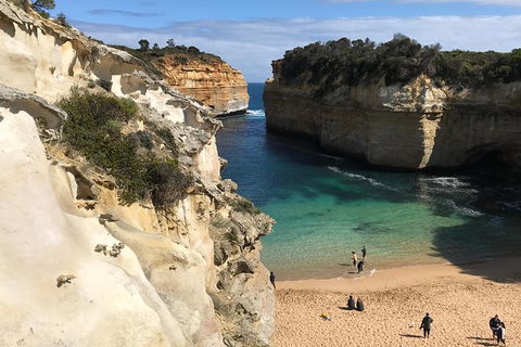 Great Ocean Road Reverse Itinerary PREMIUM Tour - QLD Tourism 3