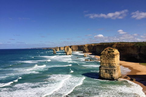 Great Ocean Road Reverse Itinerary PREMIUM Tour - QLD Tourism 2