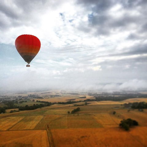 Yarra Valley Balloon Flight At Sunrise - QLD Tourism 21