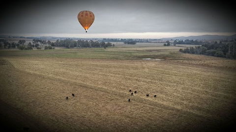 Yarra Valley Balloon Flight At Sunrise - QLD Tourism 18