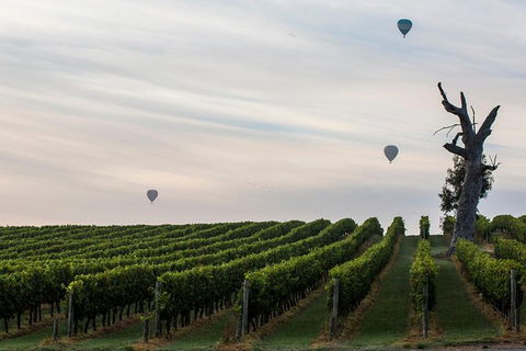Yarra Valley Balloon Flight At Sunrise - QLD Tourism 37