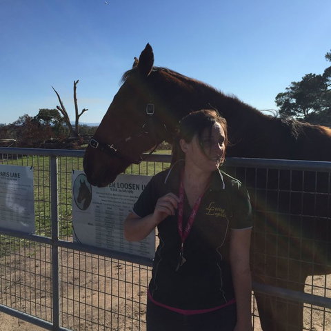 Champion Racehorse Tour With Beer And Wine Tasting - Queensland Tourism 4