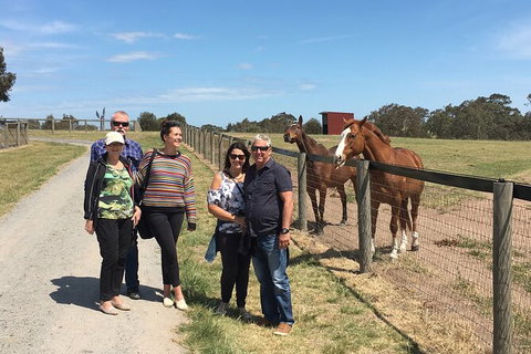 Champion Racehorse Tour With Beer And Wine Tasting - Queensland Tourism 10