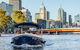 2-Hour Self-Drive Boat Hire On The Yarra River - thumb 0