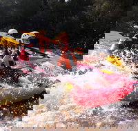 Whitewater Sports rafting on the Yarra river - Queensland Tourism