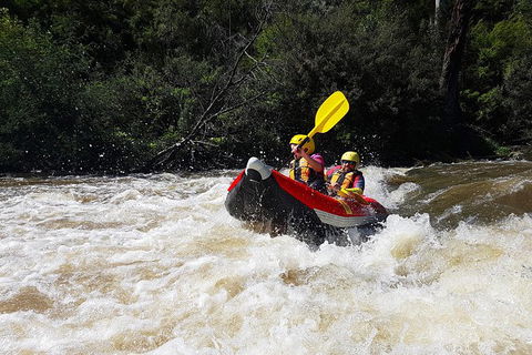 White-Water Kayaking On The Yarra River - QLD Tourism 1