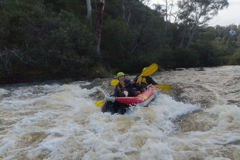 White-Water Kayaking On The Yarra River - QLD Tourism 5