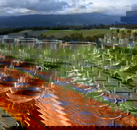 Yarra Valley Local Produce and Wine Tasting Tour - Queensland Tourism