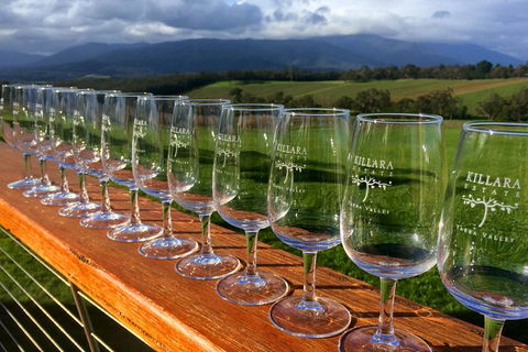 Yarra Valley Local Produce And Wine Tasting Tour - QLD Tourism 0