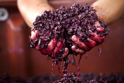 Yarra Valley Local Produce And Wine Tasting Tour - QLD Tourism 7