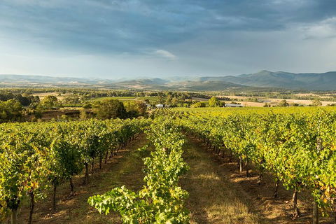 Yarra Valley Local Produce And Wine Tasting Tour - QLD Tourism 4