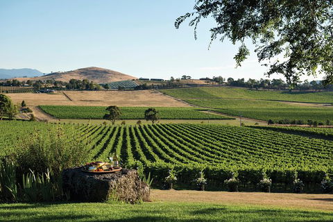 Small Group 6 Guests: Ultimate Yarra Valley Food And Wine - Mercedes Van - QLD Tourism 5