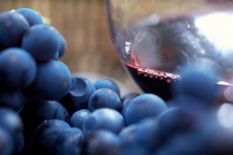 Small Group 6 Guests: Ultimate Yarra Valley Food And Wine - Mercedes Van - QLD Tourism 4