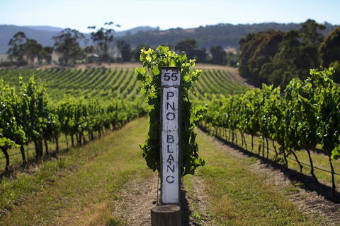 Small Group 6 Guests: Ultimate Yarra Valley Food And Wine - Mercedes Van - QLD Tourism 8