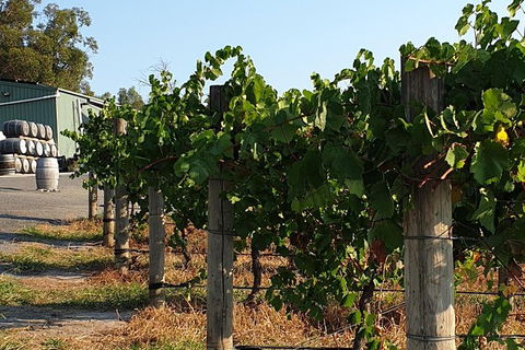 Wine Tasting Tour In The Yarra Valley - QLD Tourism 0