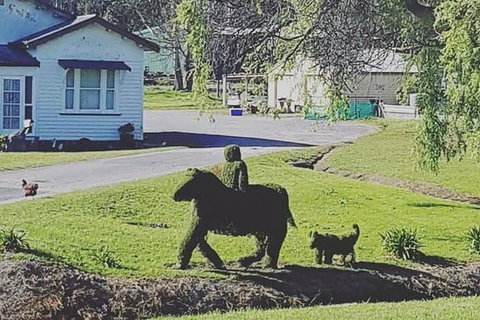 Cradle Mountain Day Tour From Launceston Including Lunch - QLD Tourism 5
