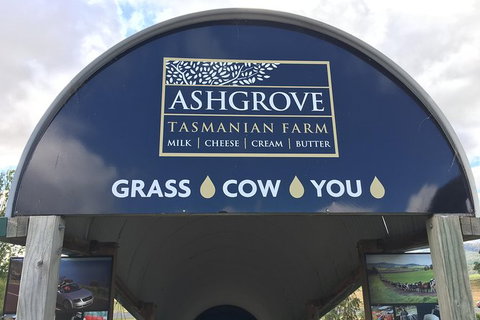 Cradle Mountain Active Day Trip From Launceston - QLD Tourism 5