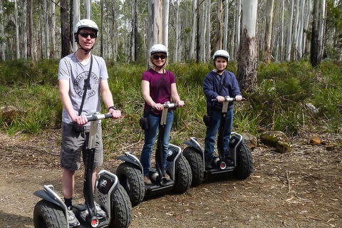 Hollybank Wilderness Adventures - Segway Tour - Queensland Tourism 1