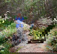 Hollybank Wilderness Adventures - Segway Tour - Queensland Tourism