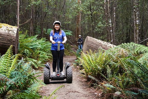 Hollybank Wilderness Adventures - Segway Tour - Queensland Tourism 0