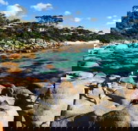4-Day Tasmania East Coast Adventure from Launceston to Hobart Including Bay of Fires Wineglass Bay Bruny Island and Port Arthu - Queensland Tourism