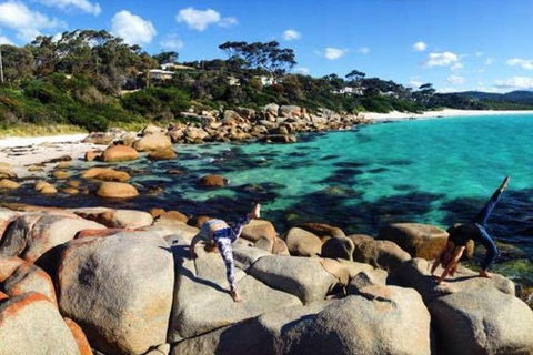 4-Day Tasmania East Coast Adventure From Launceston To Hobart Including Bay Of Fires, Wineglass Bay, Bruny Island And Port Arthu - Queensland Tourism 0