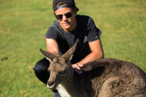4-Day Tasmania East Coast Adventure From Launceston To Hobart Including Bay Of Fires, Wineglass Bay, Bruny Island And Port Arthu - Queensland Tourism 6