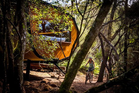 Blue Derby Pods Ride Experience 3-Day Mountain Bike Adventure In Exclusive Pods - Queensland Tourism 2