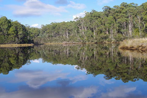 Leven River Picnic Cruise From Ulverstone - Queensland Tourism 1