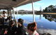 Leven River Picnic Cruise From Ulverstone - thumb 0