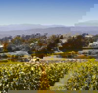 Josef Chromy Wines Winery Tour Including Tasting and Lunch - Queensland Tourism
