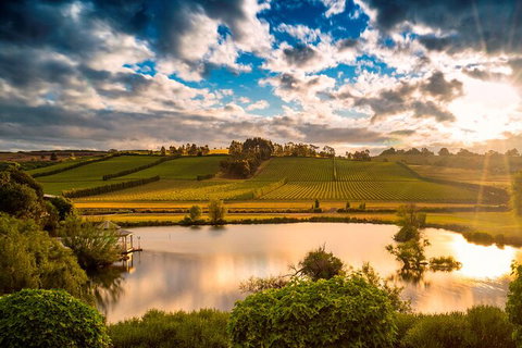 Josef Chromy Wines Winery Tour Including Tasting And Lunch - QLD Tourism 2