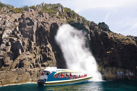 3-Hour Bruny Island Cruise From Adventure Bay - QLD Tourism 6