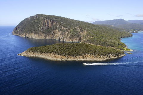 3-Hour Bruny Island Cruise From Adventure Bay - QLD Tourism 7