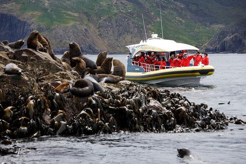 3-Hour Bruny Island Cruise From Adventure Bay - QLD Tourism 2