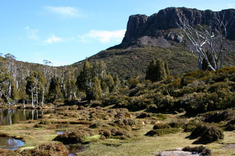 The Walls Of Jerusalem Supported Trekking Tour - Queensland Tourism 8