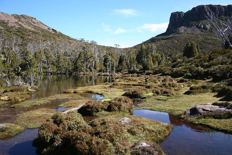 The Walls Of Jerusalem Supported Trekking Tour - Queensland Tourism 6
