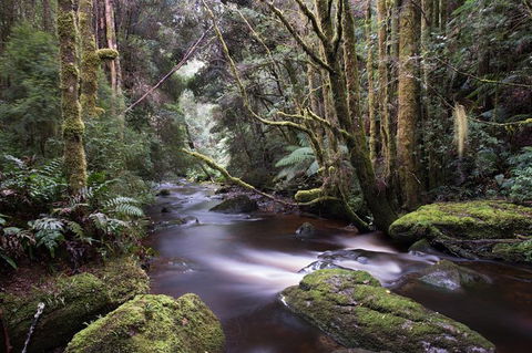 Spotlight Tour (2 Hours, $120 Per Person) - QLD Tourism 6
