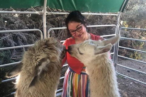 Farm Visit - Queensland Tourism 1