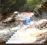 Half Day Cradle Mountain Canyoning Lost World Canyon - Queensland Tourism