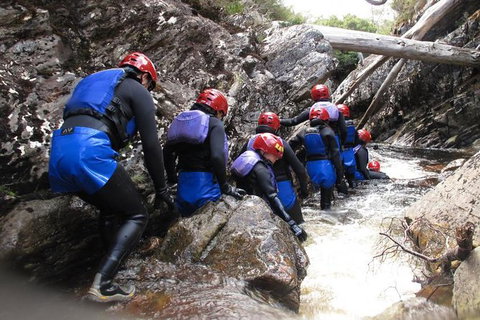 Half Day Cradle Mountain Canyoning: Lost World Canyon - QLD Tourism 1