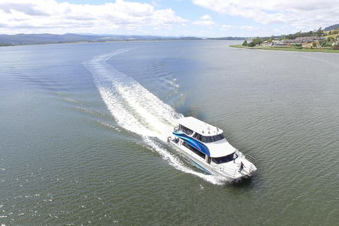 2.5 Hour Afternoon Discovery Cruise Including Cataract Gorge Departs At 1: 30 Pm - Queensland Tourism 1