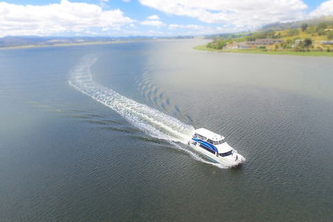2.5 Hour Afternoon Discovery Cruise Including Cataract Gorge Departs At 1: 30 Pm - Queensland Tourism 6