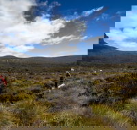 6-Day Overland Track PhotoTour - Queensland Tourism