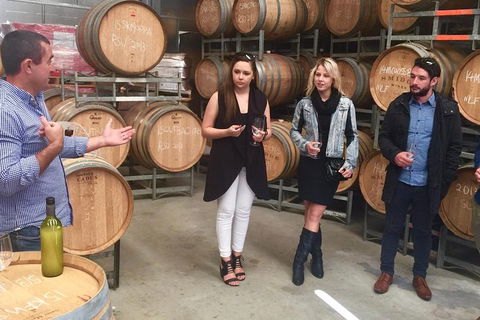 Mclaren Vale Luxury Full Day Small Group Wine Tour - Queensland Tourism 8