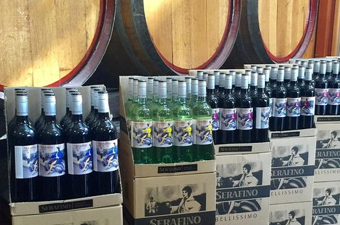 Mclaren Vale Luxury Full Day Small Group Wine Tour - Queensland Tourism 10
