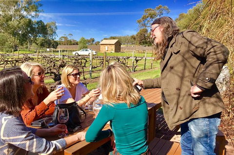 Mclaren Vale Luxury Full Day Small Group Wine Tour - Queensland Tourism 6