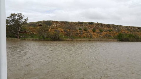 Murray River Riverboat Tour Including Lunch From Adelaide - QLD Tourism 9